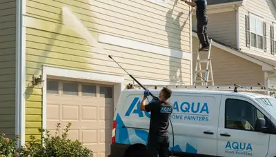 Santa Rosa, CA vinyl siding pressure cleaning by Santa Rosa Paint Pros for homes